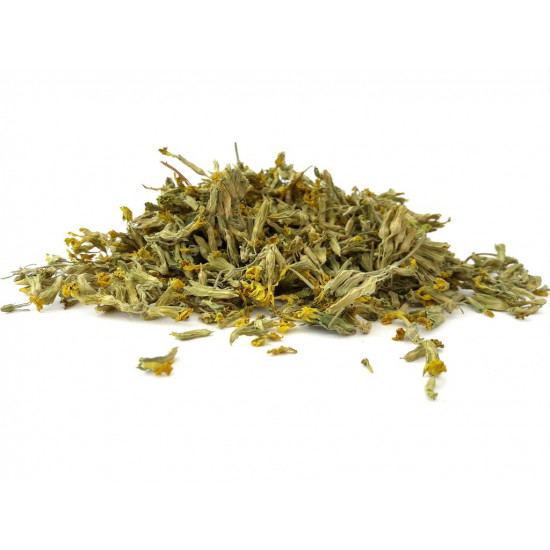 زهرة الربيع