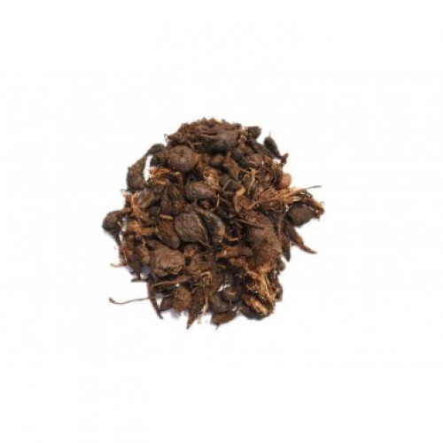 نبات السعد نبات السعد