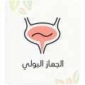 الجهاز البولي 