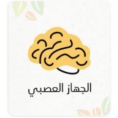 الجهاز العصبي