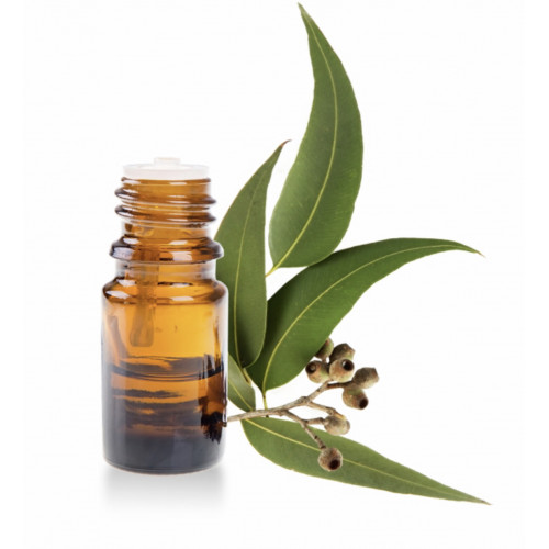 زيت السدر الطبيعي زيت السدر الطبيعي