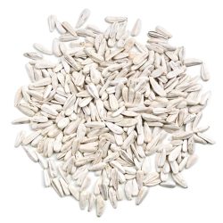 Premium Turkish White Sunflower Seeds 