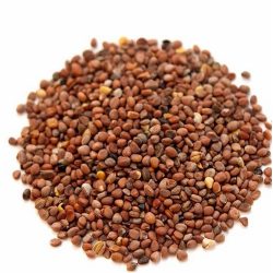 بذور الفجل الطبيعية - 100 جرام