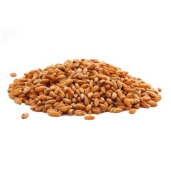 بذور الرشاد الطبيعية - 200 جرام