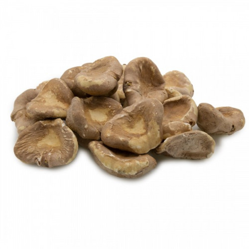 خميرة البيرة خميرة البيرة