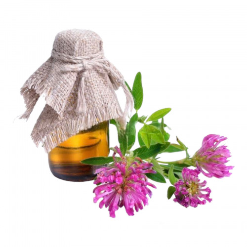 زيت زهرة أستر 