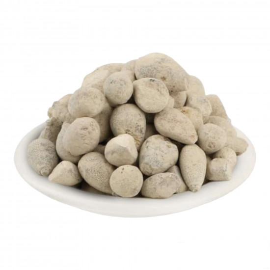 حجر اليهود (زيتونة بني اسرائيل ) 