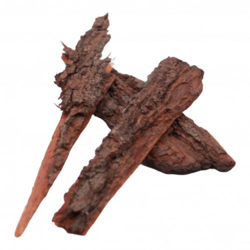 لحاء البلوط 