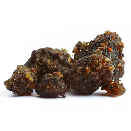 المقل المقل