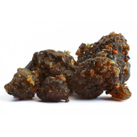 المقل المقل