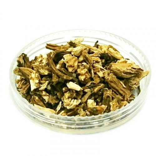 حشيشة الملاك