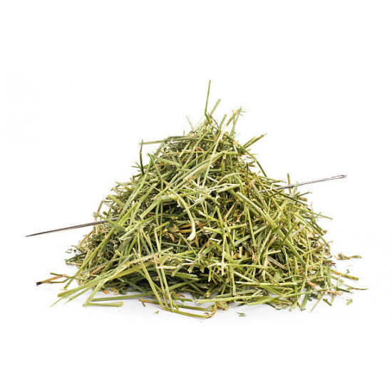 الشذاب الشذاب