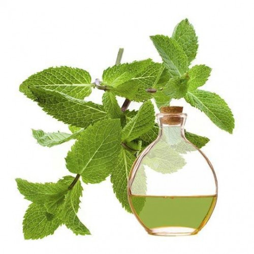 زيت الاريجانوا