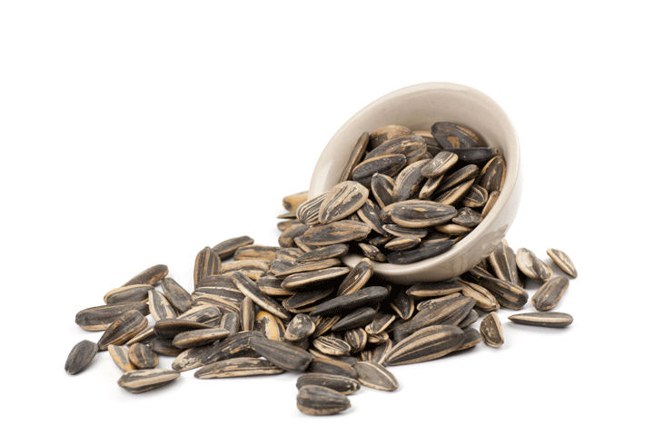 حب دوار الشمس