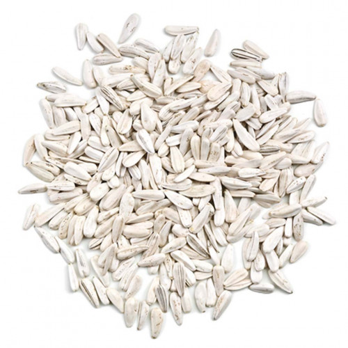 حب شمسي ابيض