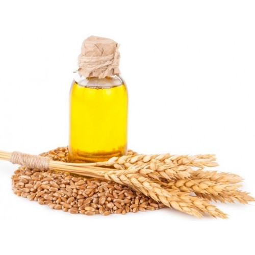 زيت جنين القمح الطبيعي 100 % زيت جنين القمح الطبيعي 100 %