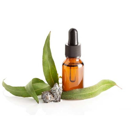 زيت الكافور اكلبتس زيت الكافور اكلبتس