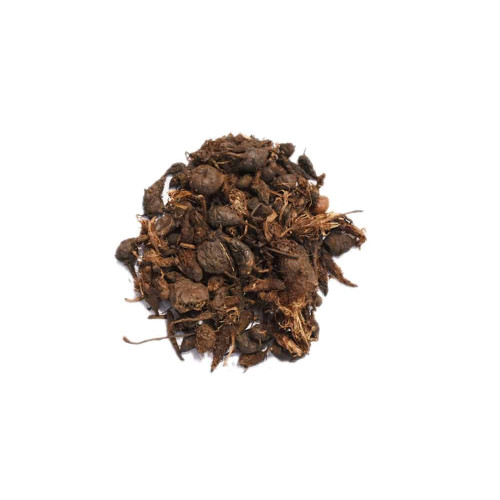 نبات السعد نبات السعد