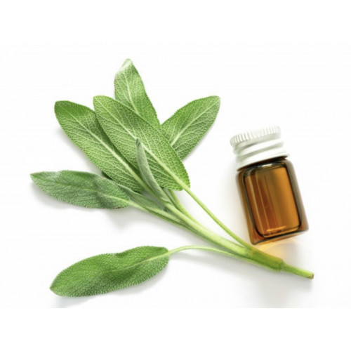 زيت الميرامية الطبيعي زيت الميرامية الطبيعي