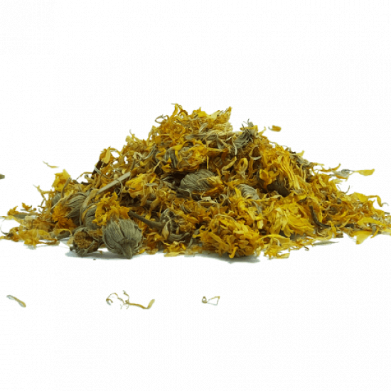 زهرة الاقحوان 