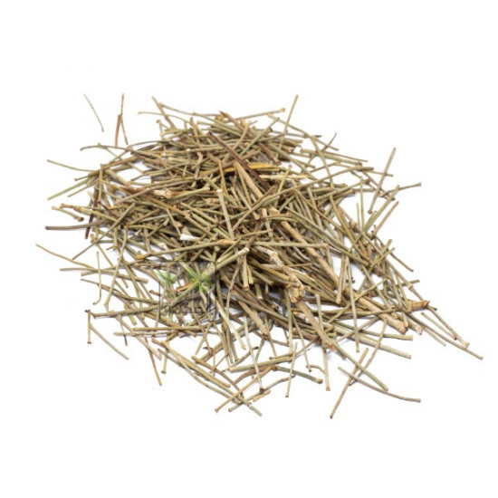 نبات الأرطة نبات الارطا