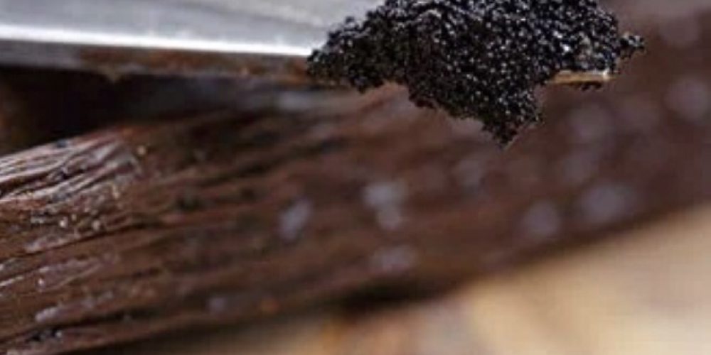 Vanilla Perfume — Why Noses Never Get Tired of It