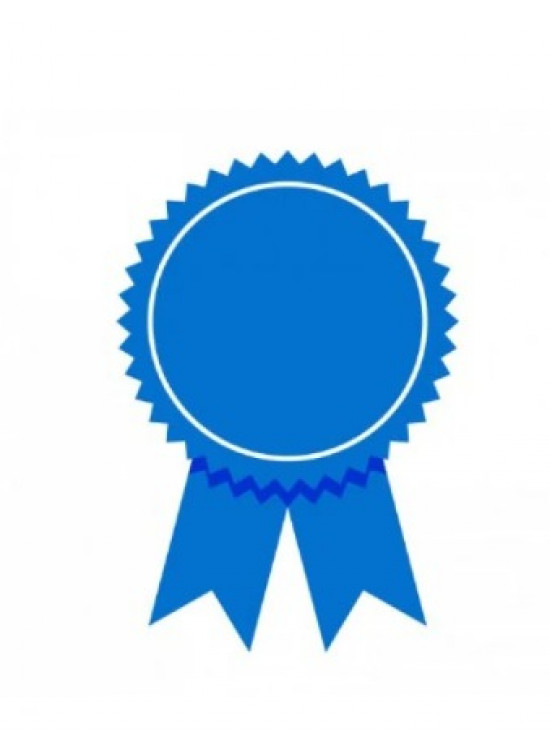 International certificate2