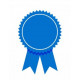  AMERICAN INSTITUTE OF PROFESSIONAL STUPIES