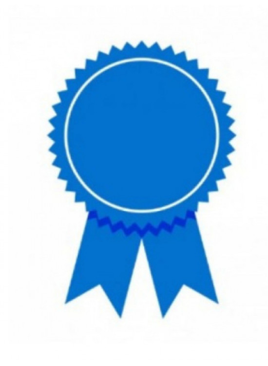 3Six Sigma certifications