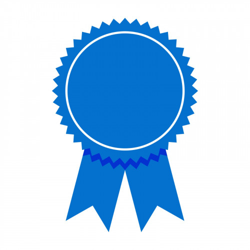 (AMERICAN INSTITUTE  OF PROFESSIONAL STUDIES)International-certificates