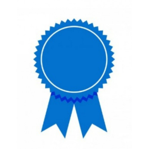 AMERICAN INSTITUTE OF PROFESSIONAL STUPIES AMERICAN INSTITUTE OF PROFESSIONAL STUPIES