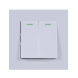 2 Gang 1W Switch, White