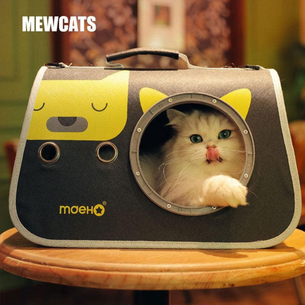 حقيبة للقطط للتنقل وسط