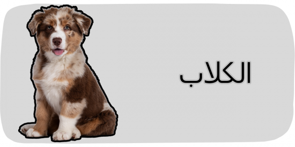 الكلاب
