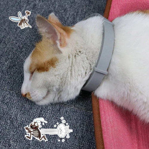 طوق للحماية ومكافحة الحشرات 55سم طوق للحماية ومكافحة الحشرات 55سم