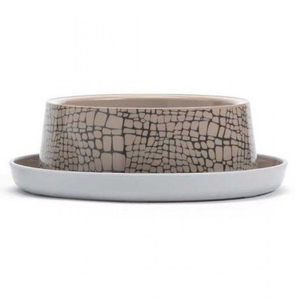 صحن طعام أنيق