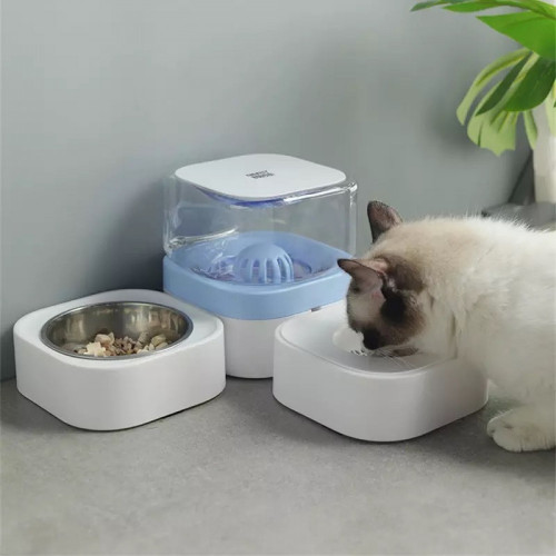 صحن طعام مع مشربية بفلتر صحن طعام مع مشربية بفلتر