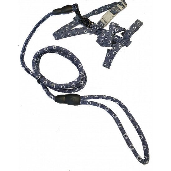 صدارية مع ليش