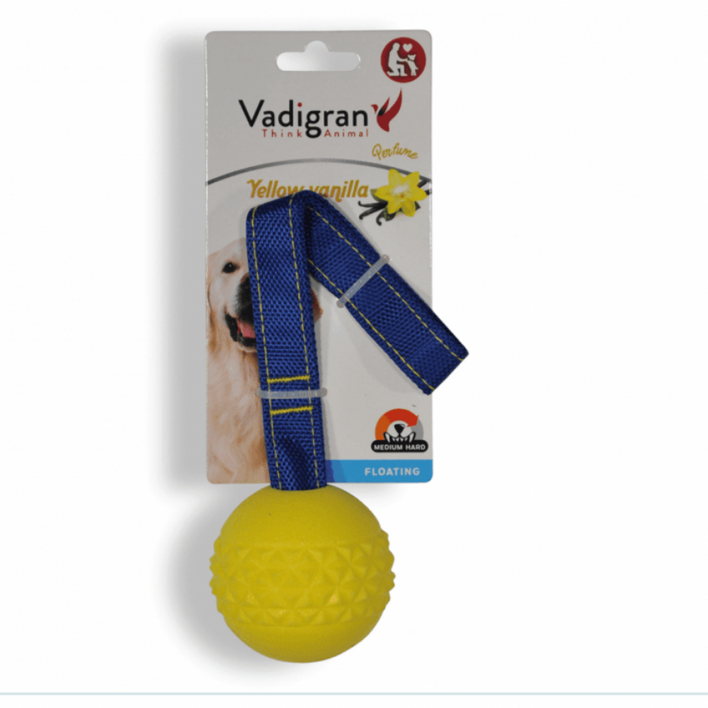لعبة كرة للكلاب TPR مع حبل برائحة الفانيلا 6،3 سم لعبة كرة للكلاب TPR مع حبل برائحة الفانيلا 6،3 سم