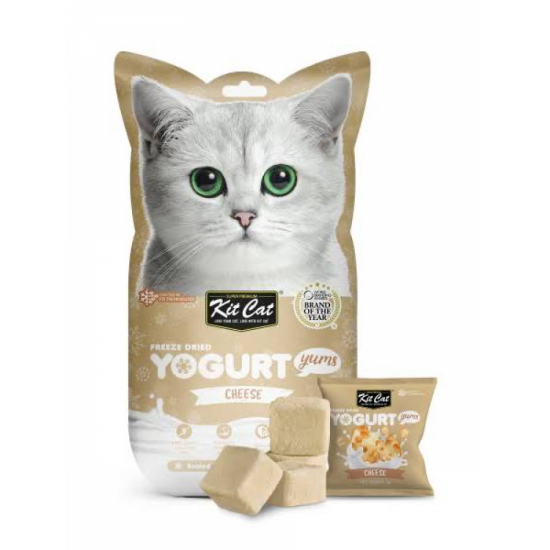 كت كات يوقارت بالجبنه مكافاة للقطط 10جرام كت كات يوقارت بالجبنه مكافاة للقطط 10جرام