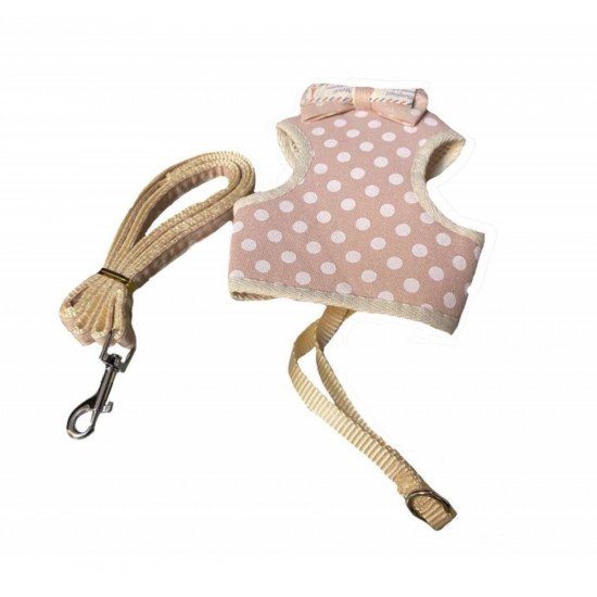 حبل تنزه مع صدارية انيقة للقطط حجم صغير 