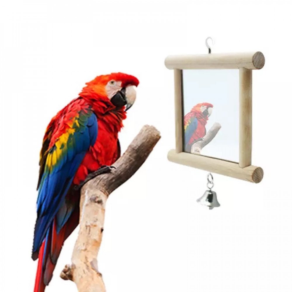 مراية لقفص الطيور الصغيره