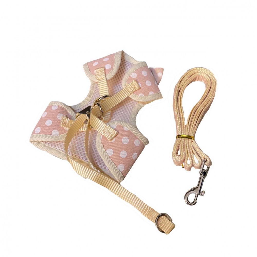 حبل تنزه مع صدارية انيقة للقطط حجم صغير 