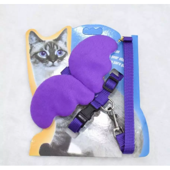 صدارية الأجنحة مع ليش