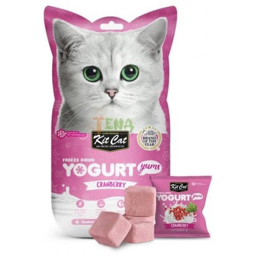 كت كات يوقارت توت بري مكافاة للقطط 10جرام
