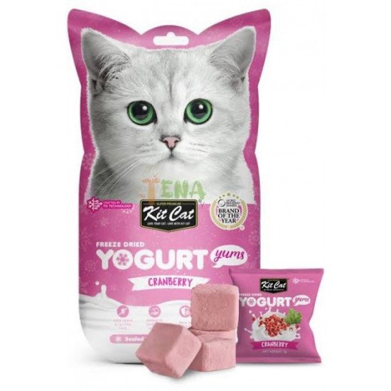 كت كات يوقارت توت بري مكافاة للقطط 10جرام كت كات يوقارت توت بري مكافاة للقطط 10جرام