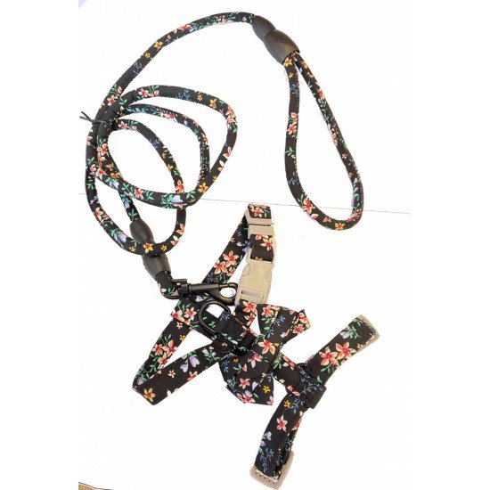 صدارية مع ليش