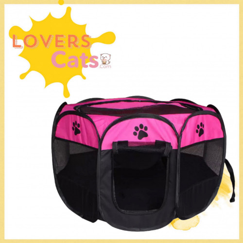 خيمة قطط وسط  تصميم لطيف