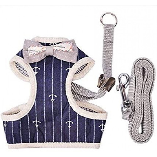 حبل تنزه مع صدارية انيقة للقطط حجم صغير 