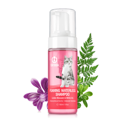 شامبو جاف للقطط كات ايديا برائحة زهرة الزيزفون 150مل